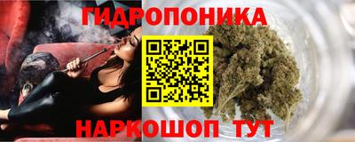 гидра Краснознаменск