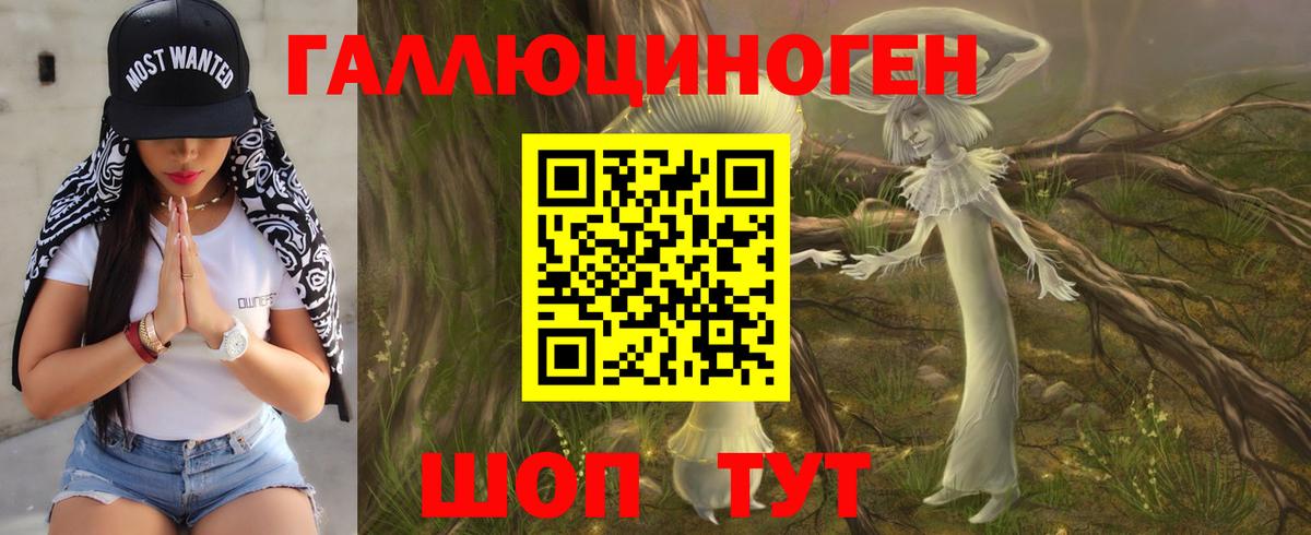 Галлюциногенные грибы Magic Shrooms Киселёвск