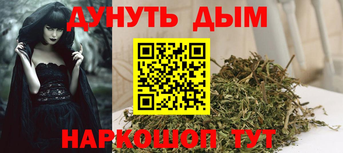Конопля SATIVA & INDICA Киселёвск