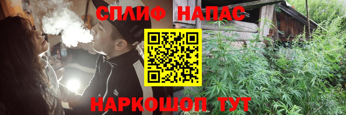 Киселёвск  Марихуана план  Марихуана OG Kush  Вход с VPN  Бошки Шишки SATIVA & INDICA 